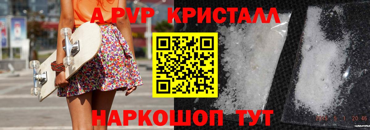 Альфа ПВП СК Прокопьевск