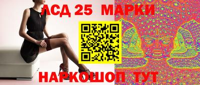 эйфоретик Славгород