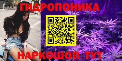 шишки Славянск-на-Кубани